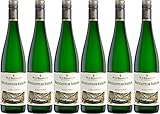Witwe Dr. H. Thanisch, Erben Müller-Burggraef Bernkasteler Riesling Kabinett 2020 Feinherb (6 x 0.75 l)