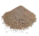 Samenshop24® Schattenrasen mit Poa supina, Inhalt: 1kg für 50m², leuchtend grün, niedrig wachsend und belastbar, Traumrasen vom F