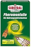 Substral Celaflor Pheromonfalle für Nahrungsmittelmotten, Mottenfalle für Lebensmittelmotten, mit Lockstoff, 3 Stück