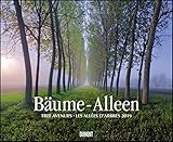 Bäume – Alleen 2019 – Wandkalender 52 x 42,5 cm – Spiralbindung