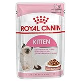 ROYAL CANIN Kitten Instinctive Wet Cat 85 g Beutel in Soße oder Gelee (Soße, 24 Beutel)