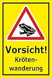 Melis Folienwerkstatt Schild Kröten-Wanderung - 30x20cm - Bohrlöcher - 3mm Hartschaum – 20 VAR S00359-101-C