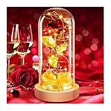 Die Schöne und Das Biest Rose Geschenk Kit,Rose im Glas,Ewige Rose und LED-Licht Romantische Geschenke zum Weihnachtstag,Valentinstag,Hochzeitstag,Jahrestag,Muttertag, F