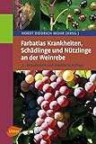 Farbatlas Krankheiten, Schädlinge und Nützlinge an der Weinreb