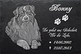 Schiefertafel mit wetterfester Lasergravur des Motives 'Hund-026' Australian Shepherd (mit dem Musterbild oder Ihrem eigenen Foto - siehe Auswahl) und Ihrem Text/Daten in der gewünschten Schriftart z.B. als Grabstein auf das Grab oder als Gedenkstein für Zuhause von LaserArt24