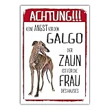 Galgo Dog Schild Achtung Zaun Frau Spruch Türschild Hundeschild Warnschild F