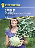 Kohlrabi (Riesen-kohlrabi) 'Superschmelz'