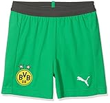 PUMA Kinder BVB Replica Jr mit innerslip Hose, Bright Green, 176