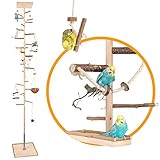 Zimmerhoher Vogel-Kletterbaum 238-240 cm HiFly Medio mit Naturholz-Sitzstangen, Vogel-Spielzeug, Vogelschaukel. Vogelspielplatz, Freisitz, Freiflug Landeplatz für Wellensittich, Nymphensittich, C