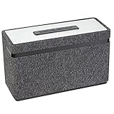 Terris CCM 282 Multiroom Lautsprecher mit W-LAN Streaming, Aux-In & Bluetooth Funktion - kompakte Sound-Anlage mit 20 Watt RMS Stereolautsp