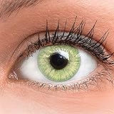 GLAMLENS Jasmine Light Green Grün + Behälter | Sehr stark deckende natürliche grüne Kontaktlinsen farbig | farbige Monatslinsen aus Silikon Hydrogel | 1 Paar (2 Stück) | DIA 14.00 | ohne Stärk