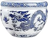 WANIYA1 Blaue und weiße Porzellan Blumentöpfe Chinesische Stil Orientalische asiatische doppelte Drache Feuer Perle Fischschale Sukkulente Pflanzer Blumentopf for Home Desktop Büro Fensterbrett Dek