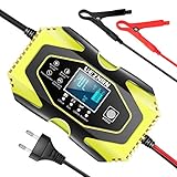 Ueznirn Ladegerät Autobatterie 12V/24V Batterieladegerät KFZ Motorrad Vollautomatisches Intelligentes Erhaltungsladegerät mit LCD-Touchscreen für Lithium, LifePO4, AGM, Gel, Auto/Motorrad B