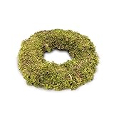 NaDeco Moos-Kranz mit Durchmessern von 10, 12, 15, 20, 25 & 30cm zur Auswahl | Moosring | Türkranz Basis | Kleiner Türkranz | Dekokranz | Naturkranz | Weidenkranz, Größe:Ø 25