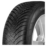 Falken EuroWinter HS01 205/45R17 88V W