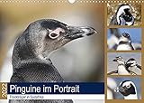 Pinguine im Portrait - Frackträger in Südafrika (Wandkalender 2022 DIN A3 quer) [Calendar] und Yvonne Herzog, Michael [Calendar] und Yvonne Herzog, Michael [Calendar] und Yvonne Herzog, M