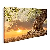 Bild auf Leinwand Wunderschöner alter Baum bei Sonnenuntergang in leuchtendem Orange Bilder Wandbild Poster Leinwandb