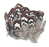 ERGEOB Fasanenfeder Hühnerfeder Huhn Fiederpalme gefällt Feuer Huhn Feder-Kopfschmuck 5-8 cm (2-3 Zoll) Läng