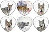 Merchandise for Fans Kühlschrankmagnete Herz Wolf Grauwolf Europäischer Wolf Porträt/Größe 5x5 cm/für Memoboard Pinnwand Magnettafel Whiteboard / 02