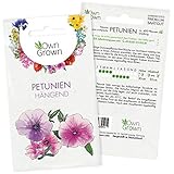 Petunie Samen: Premium Petunien Samen für ca 400 Petunien Pflanzen – Schöne Petunien Blumen Samen Balkon u. Garten Pflanzen – Blumensamen – Petunien Hängend Blumen Saatgut – Blumen für Balkon OwnGrow