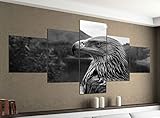 Leinwandbild 5 tlg. 200cmx100cm Adler Portrait Vogel Raubvogel schwarz weiß Bilder Druck auf Leinwand Bild Kunstdruck mehrteilig Holz 9YA1227, 5Tlg 200x100cm:5Tlg 200x100