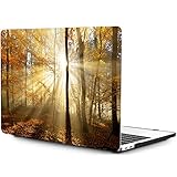 OneGET Laptop Hülle für MacBook Pro 16 Zoll Hülle mit Touch Bar Touch ID 2019 Release A2141 mit Retina Display Laptop Case Pro 16 Zoll Hardcase Landschaft Fall Wald Sonnenlicht (S19)