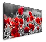 Paul Sinus Art Rote Mohnblumen im Feld 120x 60cm Panorama Leinwand Bild XXL Format Wandbilder Wohnzimmer Wohnung Deko Kunstdruck