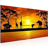Wandbilder Afrika Sonnenuntergang 1 Teilig Modern Vlies Leinwand Wohnzimmer Flur Giraffe Elefant Orange 000212