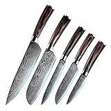 profi messer 5PCs Messer-Küche-Set Laser Damaskus Muster Professionelle japanische Chef 440C Stahl Santoku-Dienstprogramm Fleisch Furit Brotmesser Küchenmesser (Color : 5pcs)