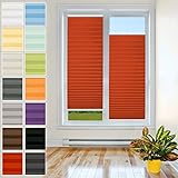 Plissee Rollo zum Anschrauben - TOP QUALITÄT Pearl Stoffkollektion | Rollo Jalousie, Halterungen zum Schrauben | Faltrollo Sichtschutz und Sonnenschutz, Fenster [Rot, Breite: 30cm, Höhe: 100cm]
