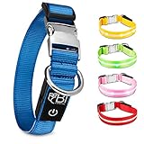 BI International ® Hundehalsband Leuchtend & Aufladbar – Wasserdichtes LED Leucht–Halsband für Hunde aus Verstärktem Nylon - Hochwertig & Sicher Dank Innovativem M