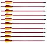 10 Armbrustbolzen Bolzen für Armbrust 14 Z