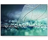 Paul Sinus Art Leinwandbilder | Bilder Leinwand 120x80cm Skelett Blatt - abstrak