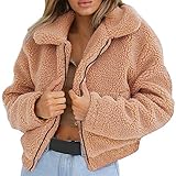 Lulupi Plüschjacke Damen Reißverschluss Pullover, Plüsch Mantel Künstliche Wolle Jacke Parka Outwear Frauen Kurze Coat Teddy F