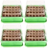 Bergen 4er Samen Aufzucht Set Mini Garten gewaechshaus Topf Pflanze für Kinder | Balkon oder auch Innen | 27.5 x 20.5 x 8.5cm | Bio Kleine Blumen/Pflanzen Grow Box | Alles was sie brauchen | hochb