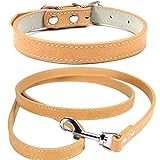 Mdurian Echtleder Leine Combo Set Einfarbiges Hundehalsband Sicher und bequem Verstellbare Halsbänder für kleine, mittlere Hunde (Khaki, XXS)