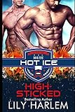 High-Sticked: Hockey Sports Sexy Romance (Gay. First Time. Standalone Read) (Hot Ice, Band 5)