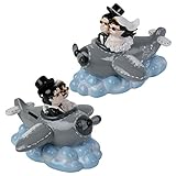 Spardose Brautpaar in Flugzeug Aufschrift.Just Married Hochzeit Sparbüchse Geschenk