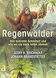 Regenwälder: Ihre bedrohte Schönheit und wie wir sie noch retten kö