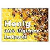 Werbeschild HONIG aus eigener Imkerei A3 (42x30 cm) Imker Werbung Schild B