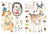 dekodino® Wandtattoo Aquarell Waldtiere Reh Fuchs Igel Wanddeko S