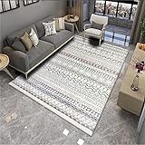 Teppich Aussenbereich bodenmatte Wohnzimmer rechteckiger Teppich moderner Stil grau waschbar Teppich Mädchen Kinderzimmer 100X160CM