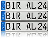 3 x Kennzeichen | 520x110mm | Nummernschilder | KFZ Auto PKW LKW | DHL-V