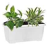 EVELYN LIVING Langer rechteckiger Übertopf für Garten, Balkon, Fenster, Blumenkasten, Pflanzgefäße, Blumentöpfe, Kunststoff, dekorative Bepflanzung Terrasse (weiß, 30 cm lang/4.5 Liter)