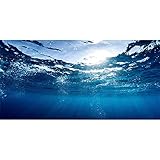 AWERT Hintergrund für Aquarien, 120 x 50 cm, langlebiger Vinyl-Hintergrund (nicht Aufkleber)