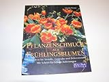 Pflanzenschmuck aus Frühlingsblumen - Neue Ideen für Sträuße, Gestecke und Dekorationen - Mit Schritt-für-Schritt-Anleitung