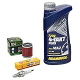 Wartungspaket Öl 1L + Ölfilter + Zündkerze für Yamaha WR 125 R WR 125 X WR125 DE071 DE072 Baujahr 2009-2017