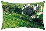 iRocket - clifden castle ireland - Throw Pillow Cover (24' x 24')