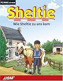Sheltie Band 1 - Wie Sheltie zu uns k