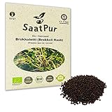 SaatPur Bio Keimsaat - Brokkoli Raab | Brokkoletti | Ur-Brokkoli| Keimsprossen Sprossen Microgreen - 30 g Lebensmittel Q